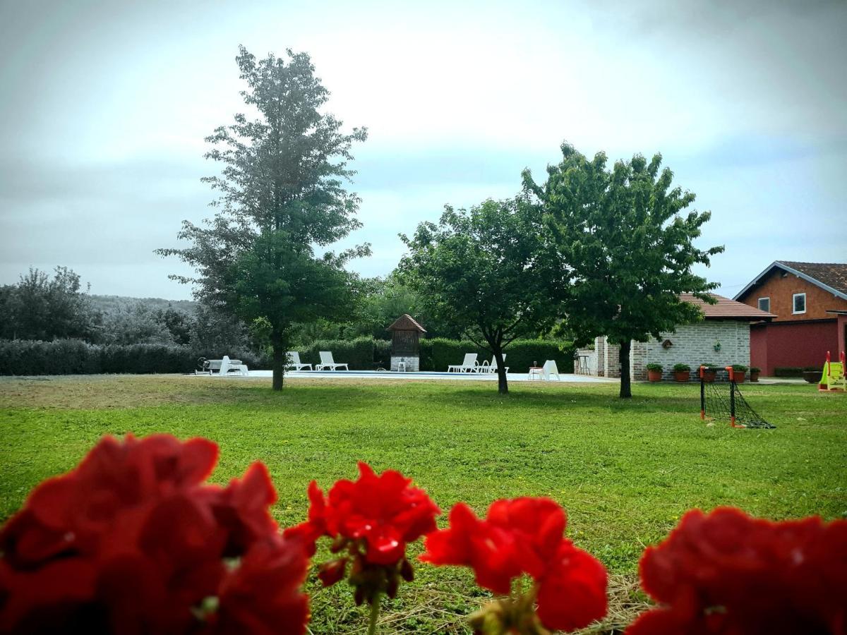 Villa Mons Aureus Popovac Bagian luar foto