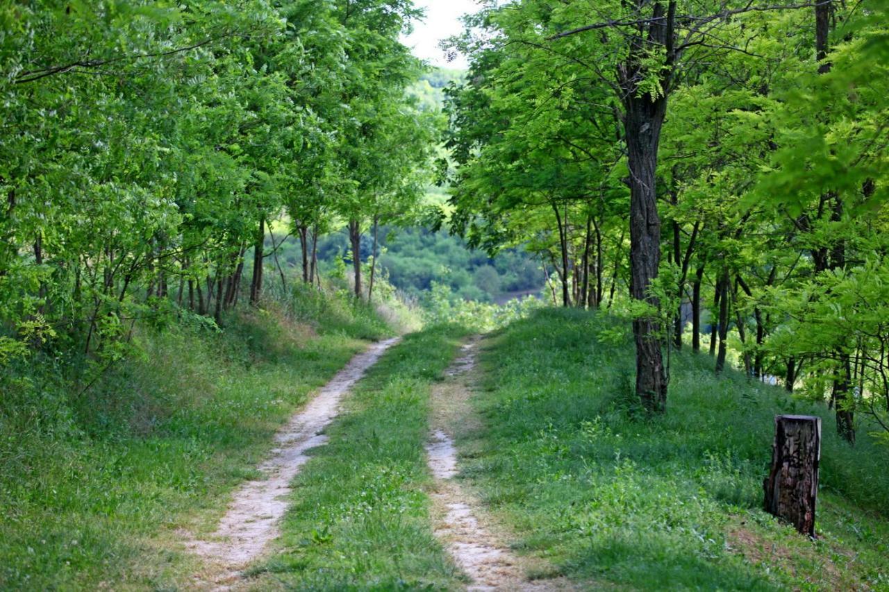 Villa Mons Aureus Popovac Bagian luar foto