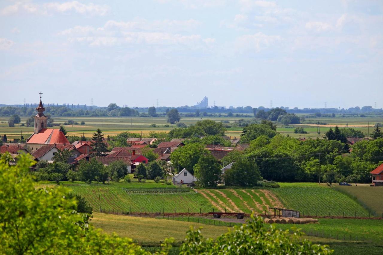 Villa Mons Aureus Popovac Bagian luar foto