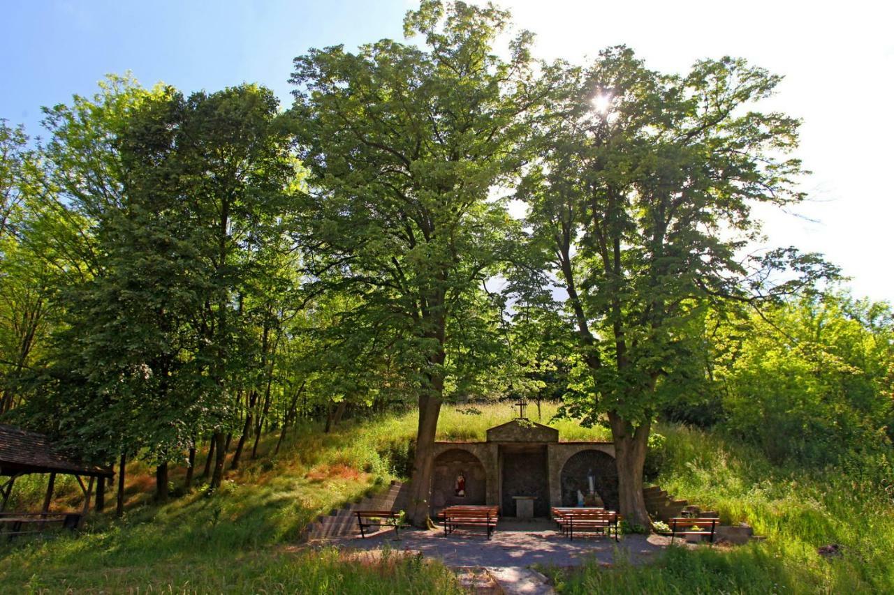 Villa Mons Aureus Popovac Bagian luar foto