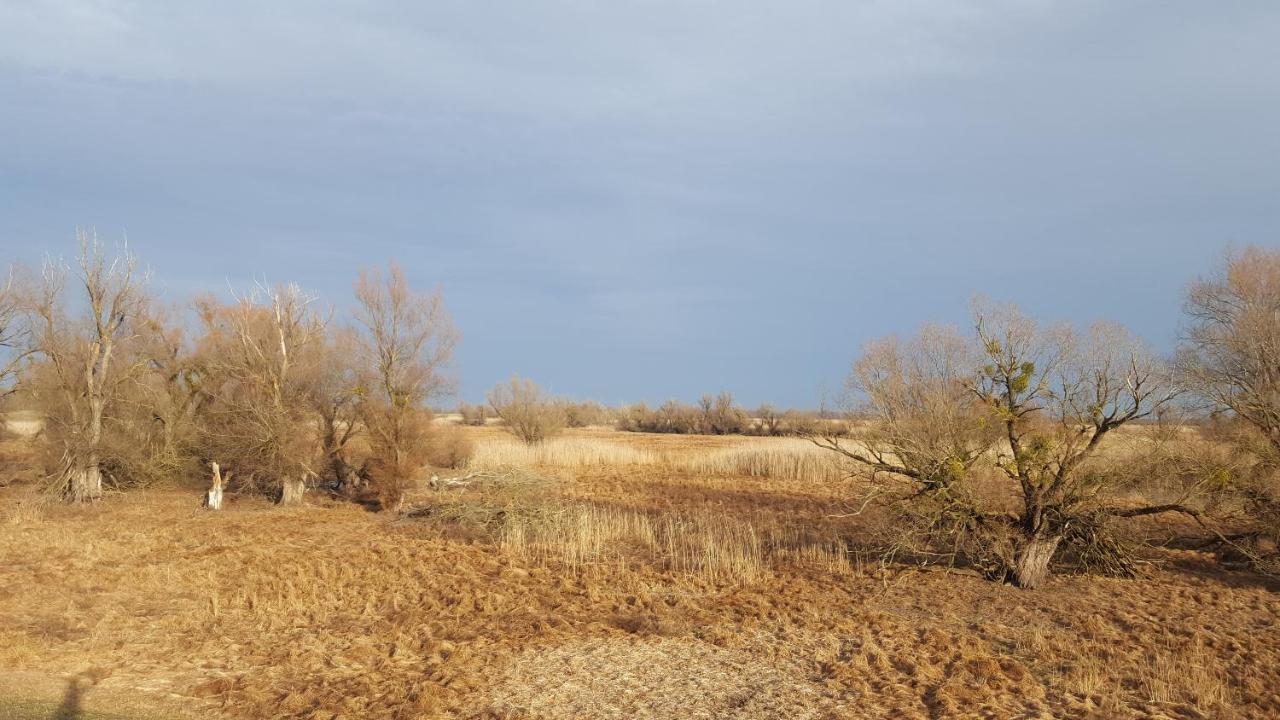 Villa Mons Aureus Popovac Bagian luar foto