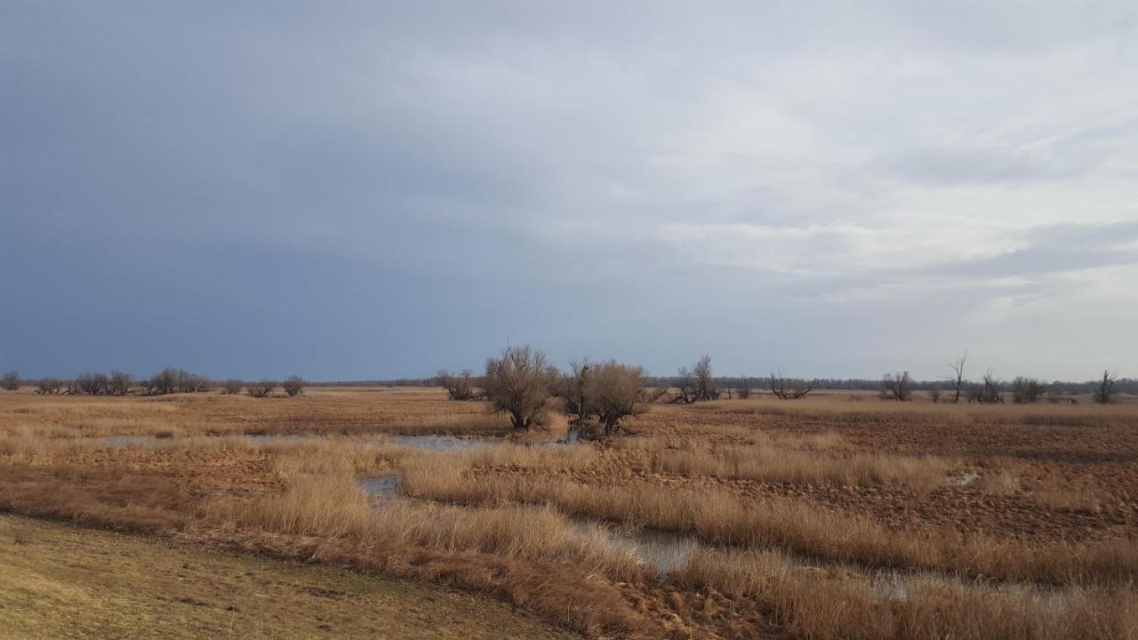 Villa Mons Aureus Popovac Bagian luar foto